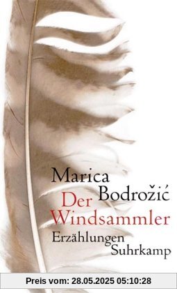 Der Windsammler: Erzählungen