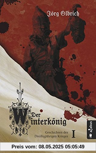 Der Winterkönig. Geschichten des Dreißigjährigen Krieges: Historischer Roman