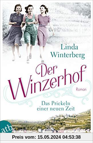 Der Winzerhof – Das Prickeln einer neuen Zeit: Roman (Winzerhof-Saga, Band 1)