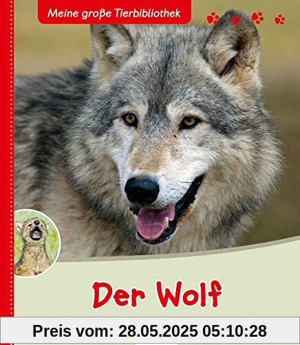 Der Wolf (Meine große Tierbibliothek)