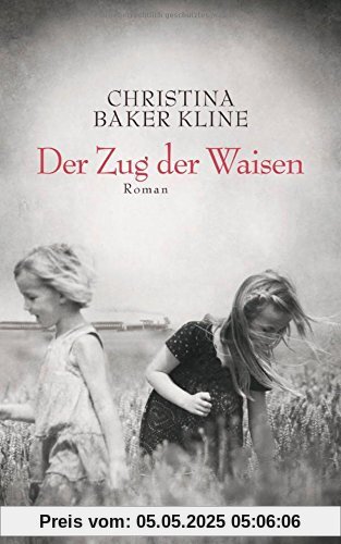 Der Zug der Waisen: Roman