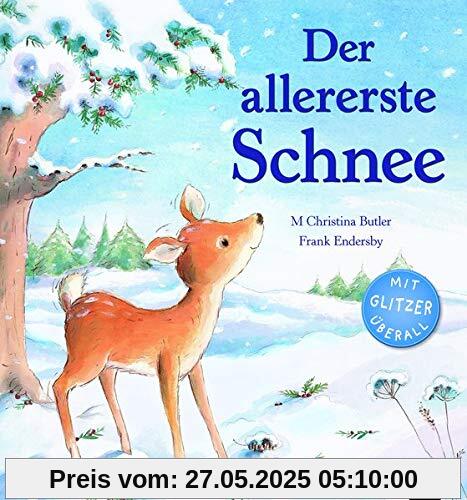 Der allererste Schnee