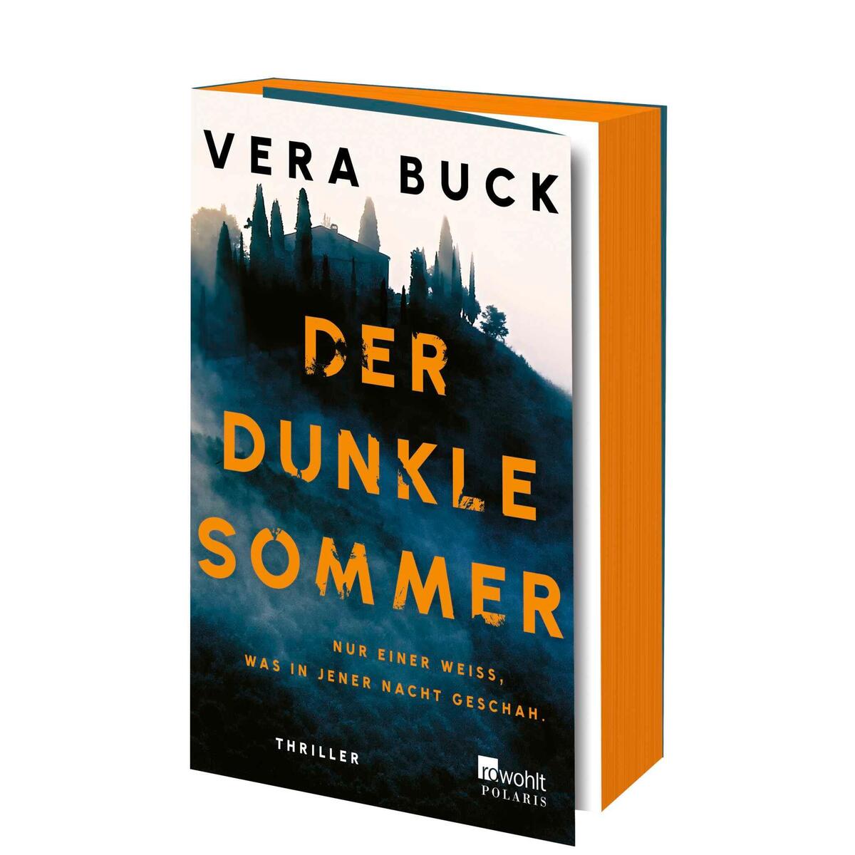 Der dunkle Sommer Der dunkle Sommer von Rowohlt Taschenbuch