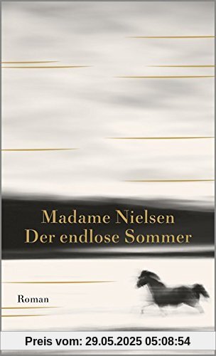 Der endlose Sommer: Roman Der endlose Sommer: Roman