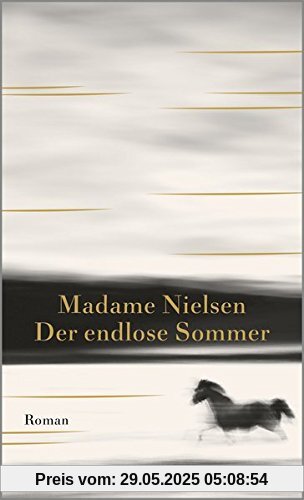 Der endlose Sommer: Roman