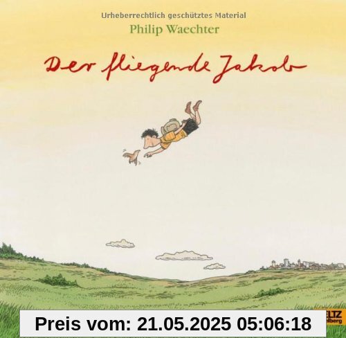Der fliegende Jakob: Vierfarbiges Bilderbuch