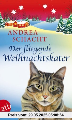 Der fliegende Weihnachtskater: Roman