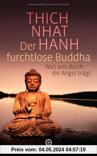 Der furchtlose Buddha: Was uns durch die Angst trägt