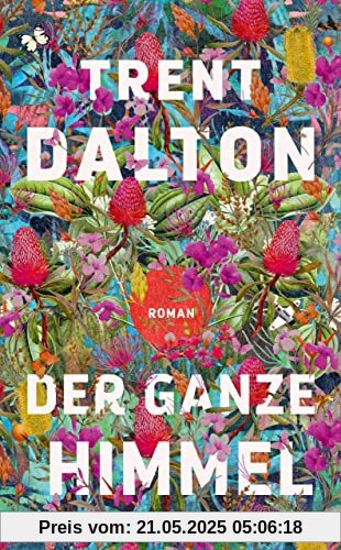 Der ganze Himmel: Roman Der ganze Himmel: Roman