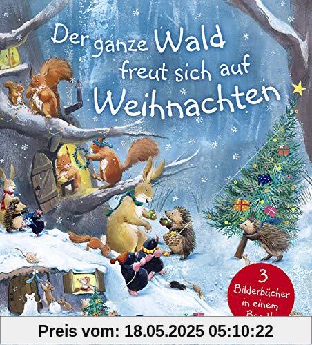 Der ganze Wald freut sich auf Weihnachten: Weihnachtsgeschichte für Kinder ab 4