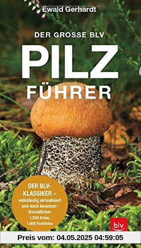 Der große BLV Pilzführer: Der BLV-Klassiker – vollständig aktualisiert und noch benutzerfreundlicher (Natur)