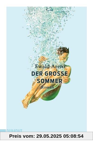 Der große Sommer: Roman