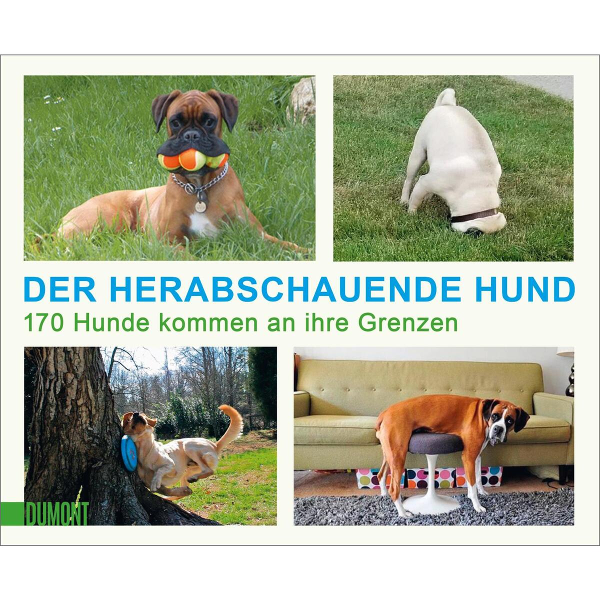 Der herabschauende Hund von DuMont Buchverlag GmbH