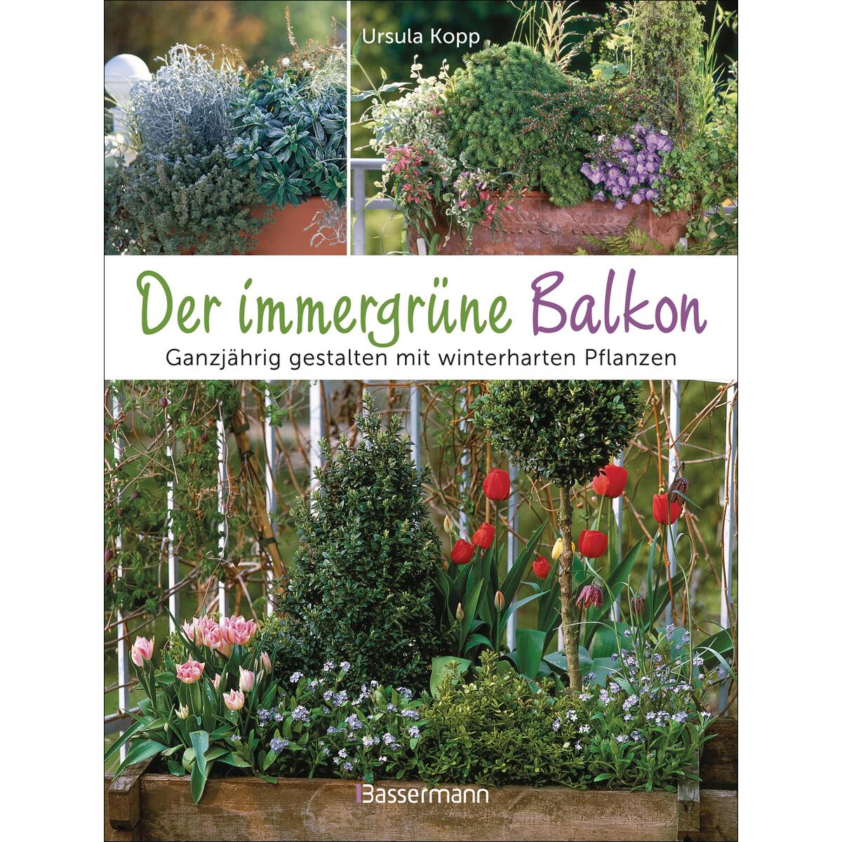 Der immergrüne Balkon. Ganzjährig gestalten mit winterharten Pflanzen Der immergrüne Balkon. Ganzjährig gestalten mit winterharten Pflanzen von Bassermann, Edition