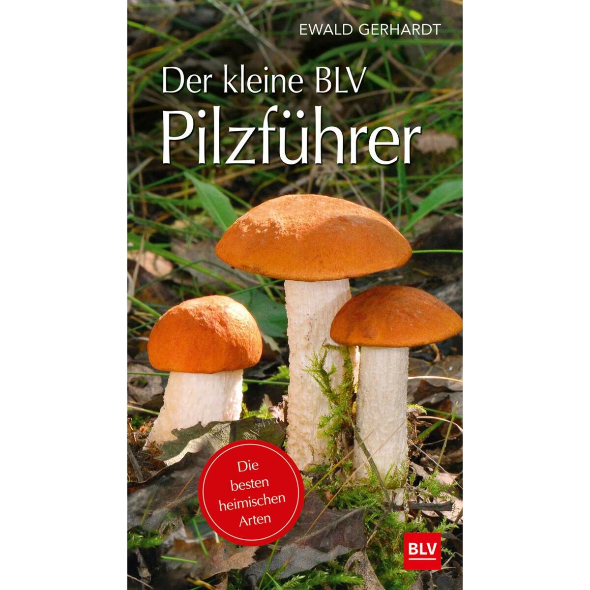 Der kleine BLV Pilzführer von Blv