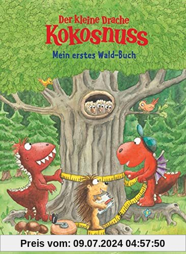 Der kleine Drache Kokosnuss - Mein erstes Wald-Buch: Mit zahlreichen Basteltipps und Spielvorschlägen (Mit Kokosnuss spielend die Welt entdecken, Band 6)