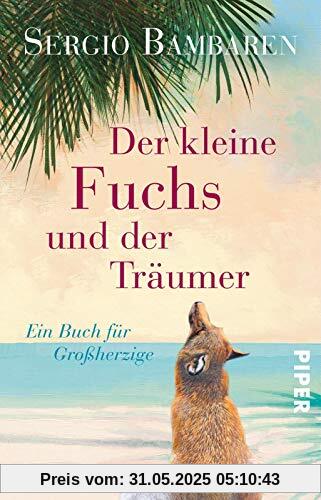 Der kleine Fuchs und der Träumer: Ein Buch für Großherzige