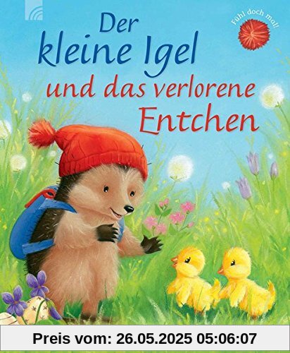 Der kleine Igel und das verlorene Entchen