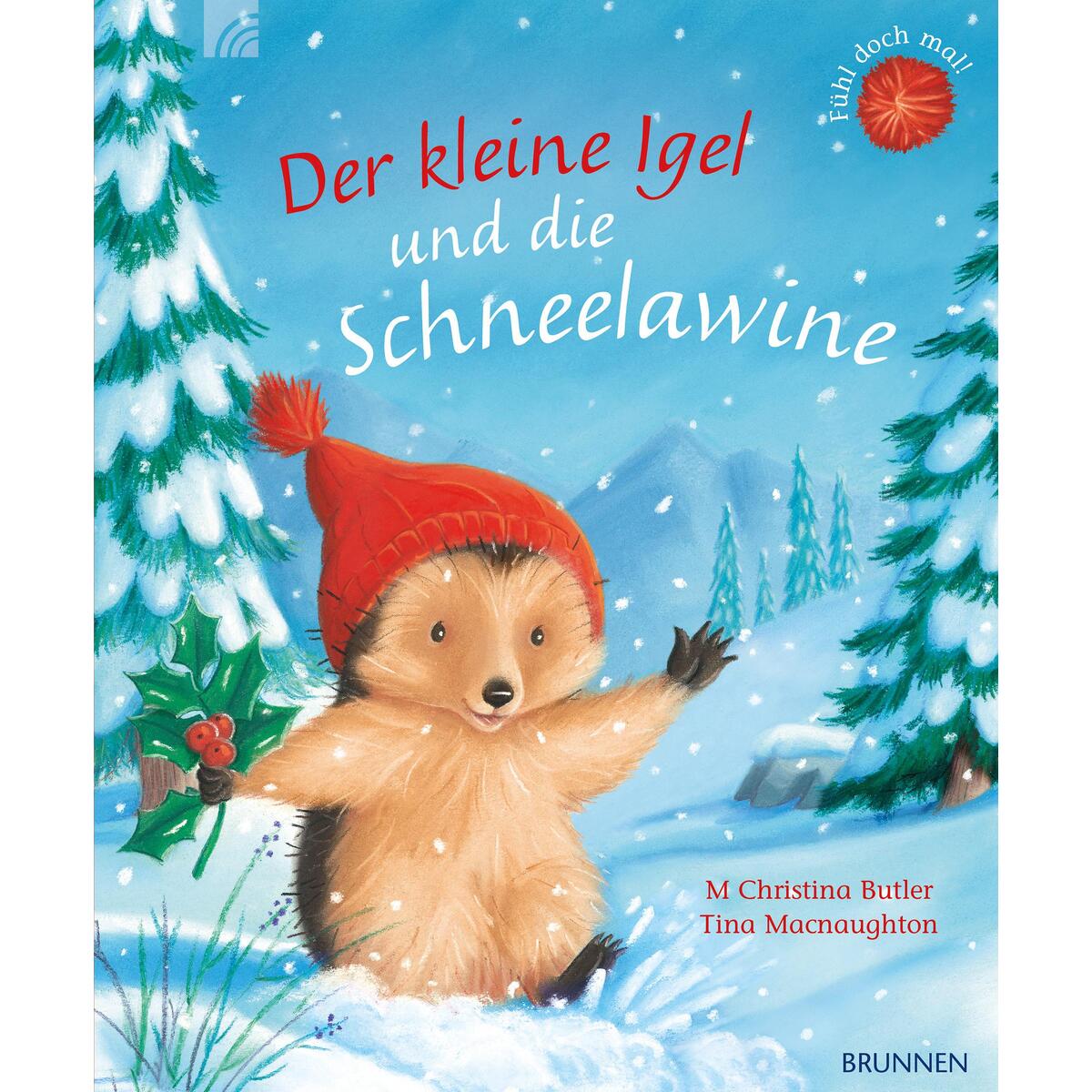 Der kleine Igel und die Schneelawine von Brunnen
