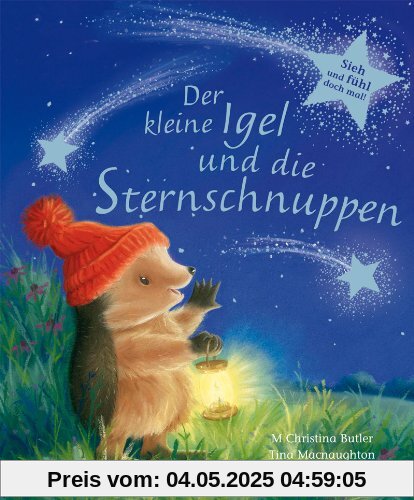 Der kleine Igel und die Sternschnuppen