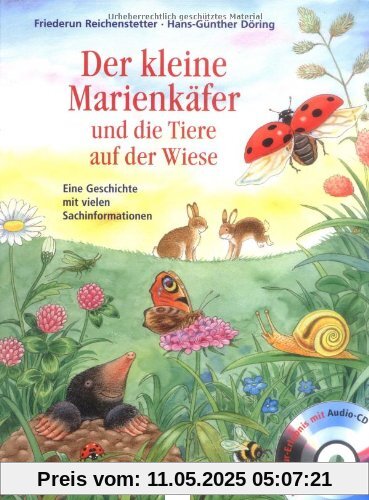 Der kleine Marienkäfer und die Tiere auf der Wiese: Eine Geschichte mit vielen Sachinformationen