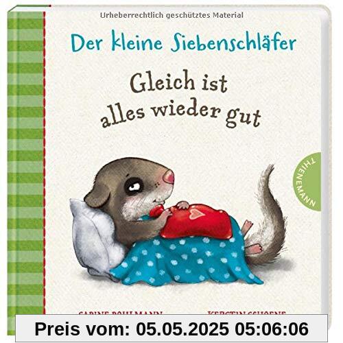 Der kleine Siebenschläfer: Gleich ist alles wieder gut