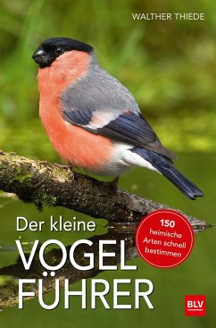 Der kleine Vogelführer von BLV Buchverlag