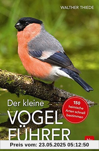 Der kleine Vogelführer