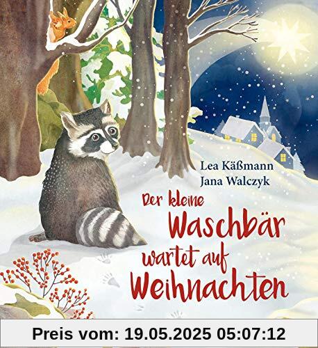 Der kleine Waschbär wartet auf Weihnachten