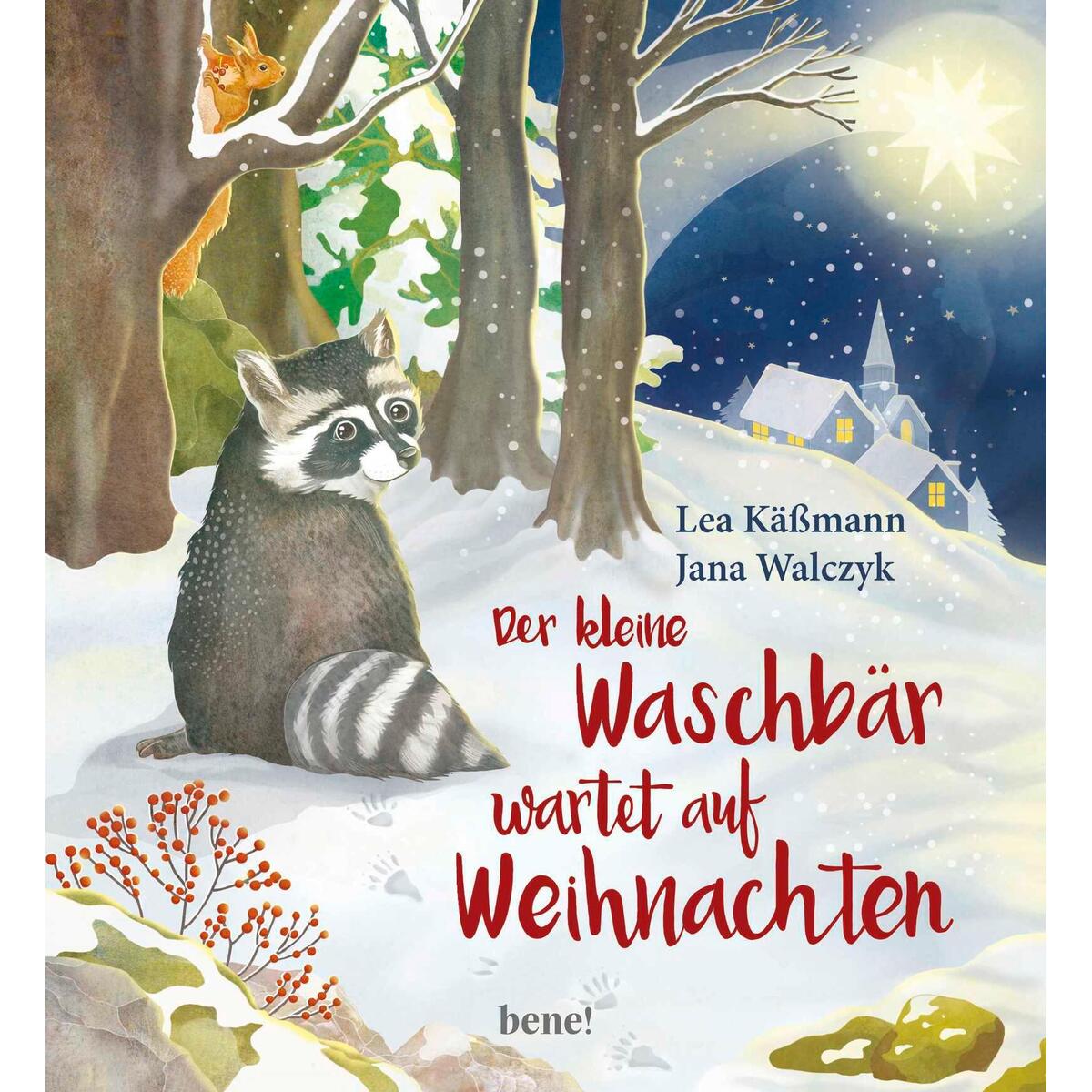 Der kleine Waschbär wartet auf Weihnachten von bene!