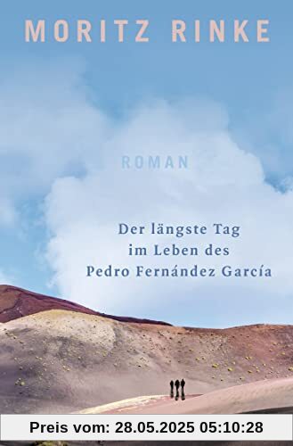 Der längste Tag im Leben des Pedro Fernández García: Roman