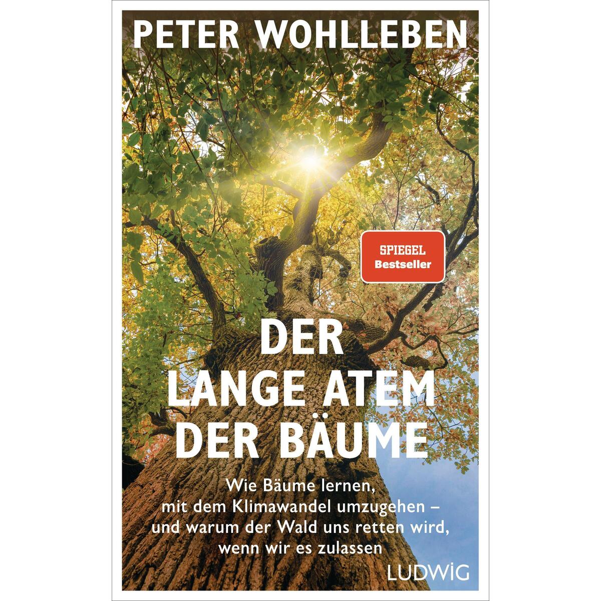 Der lange Atem der Bäume Der lange Atem der Bäume von Ludwig Verlag