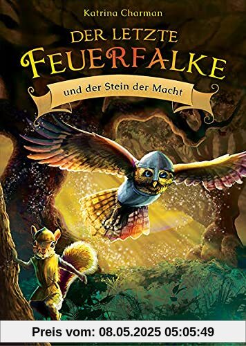 Der letzte Feuerfalke und der Stein der Macht (Band 1): Spannendes Erstlesebuch für Jungen und Mädchen ab 7 Jahre