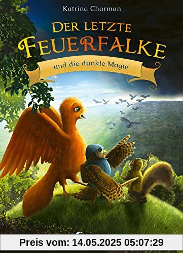 Der letzte Feuerfalke und die dunkle Magie (Band 6): Reise mit Talon und seinen Freunden in ein neues Abenteuer - Erstlesebuch für Kinder ab 7 Jahren