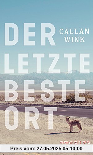 Der letzte beste Ort: Stories