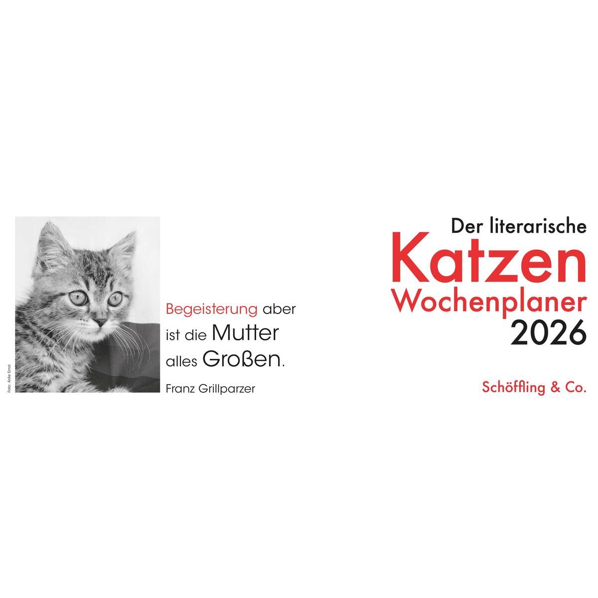 Der literarische Katzen Wochenplaner 2026 von Schoeffling + Co.