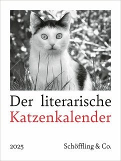 Der literarische Katzenkalender 2025 von Schöffling