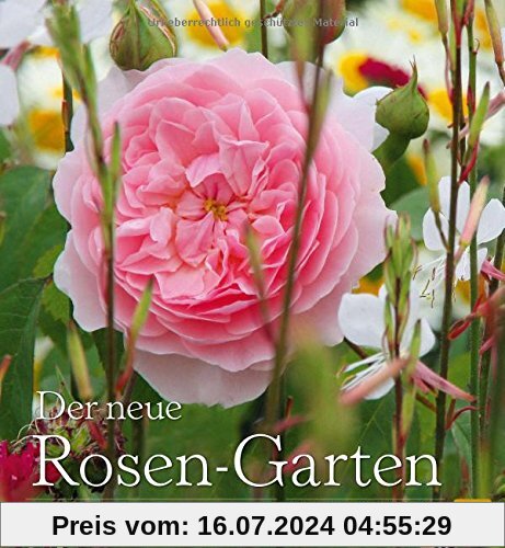 Der neue Rosen-Garten: Partnerpflanzen & Beetgestaltungen