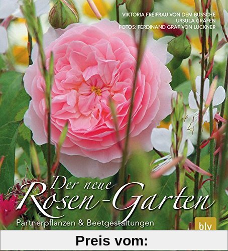 Der neue Rosen-Garten: Partnerpflanzen & Beetgestaltungen
