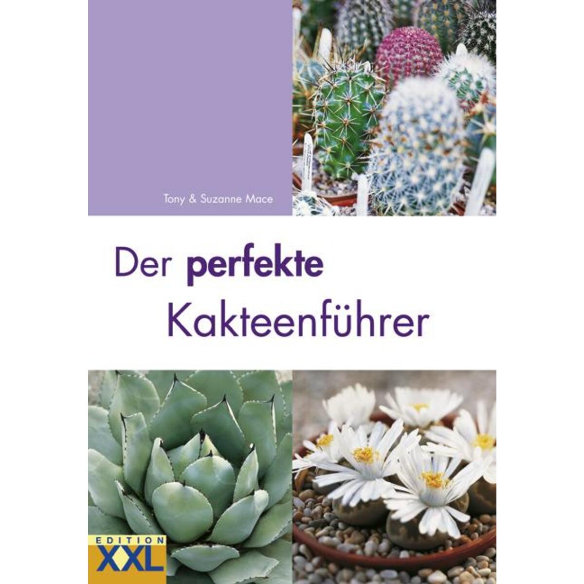 Der perfekte Kakteenführer von Edition XXL GmbH