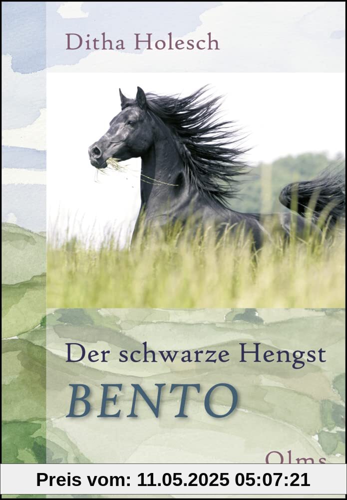 Der schwarze Hengst Bento