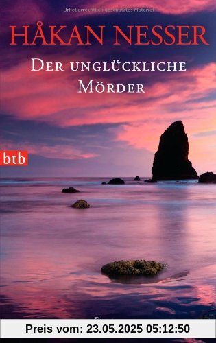 Der unglückliche Mörder: Roman - Der unglückliche Mörder: Roman -
