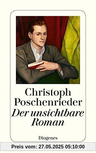 Der unsichtbare Roman (detebe)