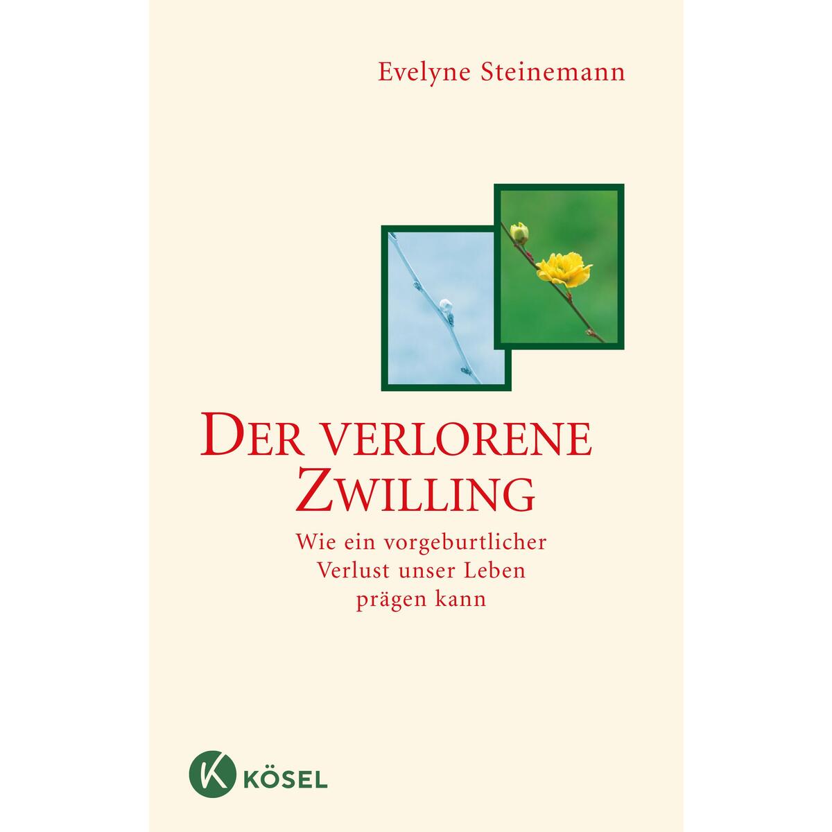 Der verlorene Zwilling von Kösel-Verlag