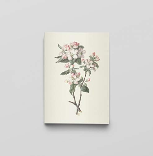 Dessins de fleurs - Carnet Notes et Lectures: Cahier végétal