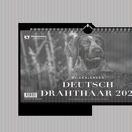 Deutsch Drahthaar 2024: Themenkalender Deutsch Drahthaar 2024: Themenkalender von J. Neumann-Neudamm Melsungen
