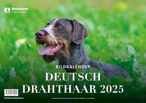Deutsch Drahthaar 2025: Themenkalender von J. Neumann-Neudamm Melsungen