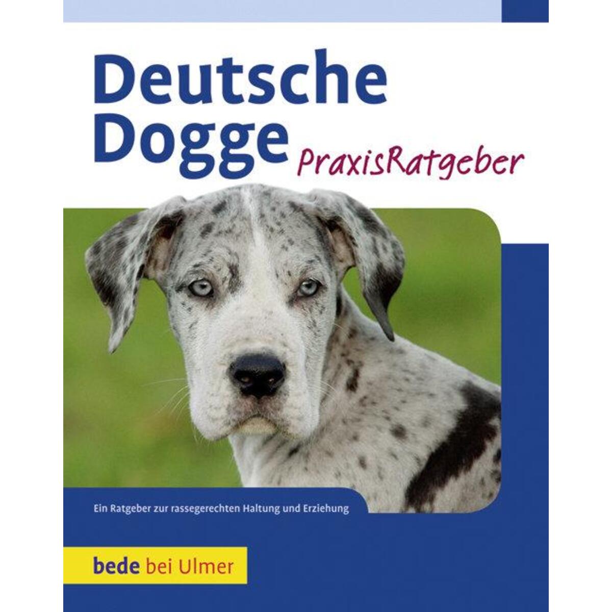 Deutsche Dogge Praxisratgeber von Ulmer Eugen Verlag