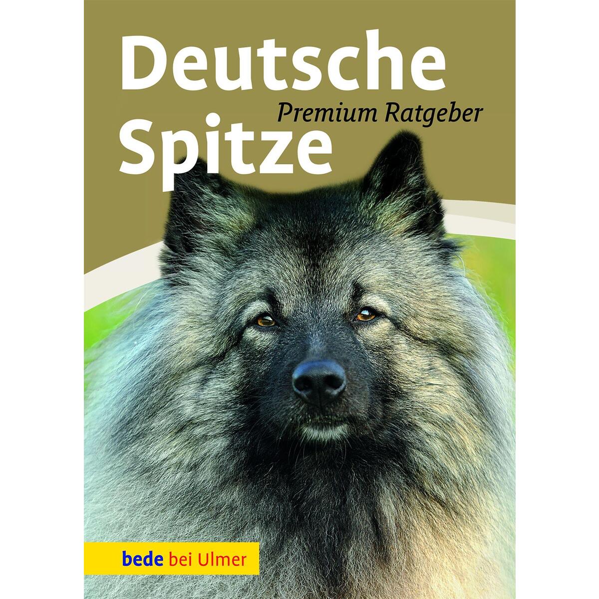Deutsche Spitze von Ulmer Eugen Verlag