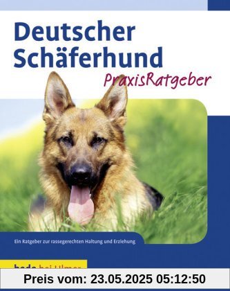 Deutscher Schäferhund